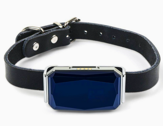GPS Pet Tracker and Accessories