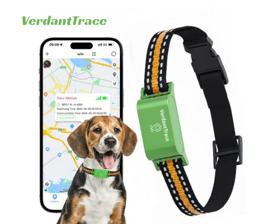 GPS Pet Tracking Collar with 4G Positioning