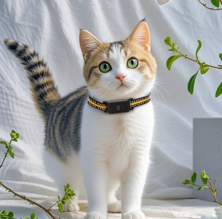 GPS Pet Tracking Collar with 4G Positioning